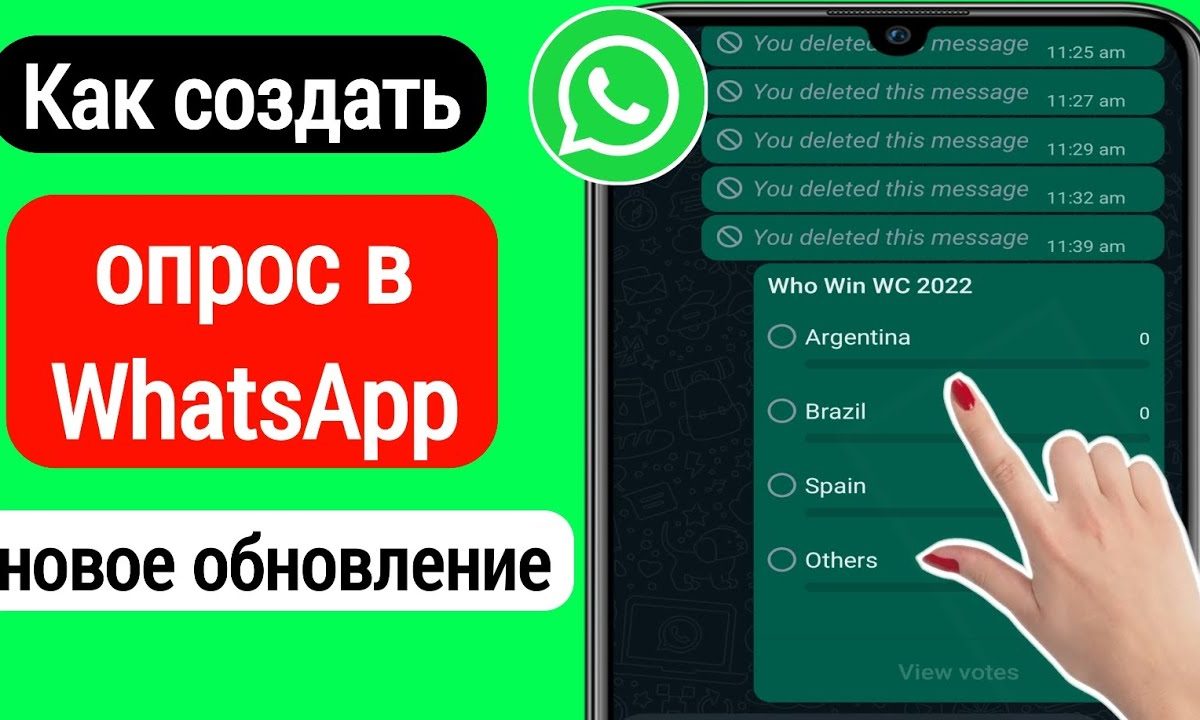 Как сделать голосование в WhatsApp: подробный гайд