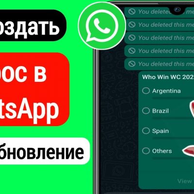 Как сделать голосование в WhatsApp: подробный гайд