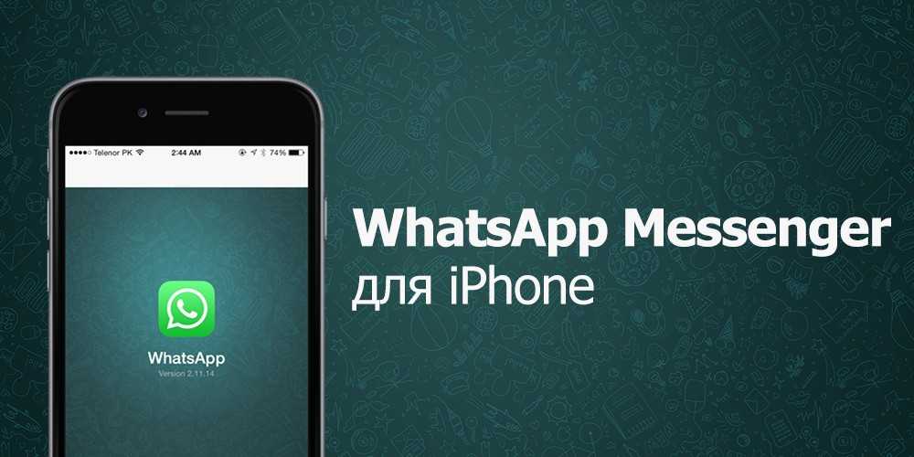 Как на IPhone скачать и установить WhatsApp